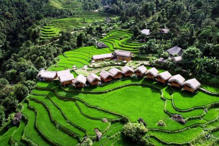 THE BEAUTY OF TERRACED FIELDS HA GIANG